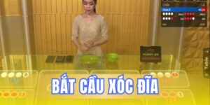 Bắt cầu xóc đĩa