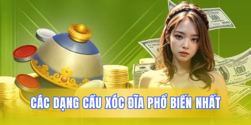 Phân biệt các loại cầu thường gặp