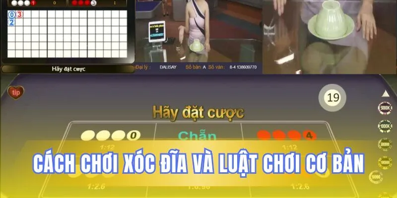 cach-choi-xoc-dia-va-luat-choi-co-ban