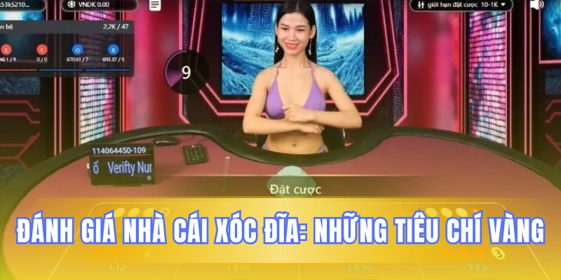 Các yếu tố then chốt để thẩm định nhà cái