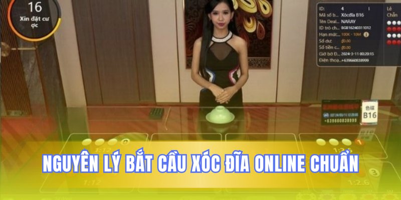 Nắm vững cơ sở dự đoán kết quả