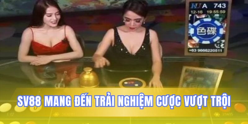 Khám phá những điểm nổi bật tạo nên trải nghiệm cược xóc đĩa
